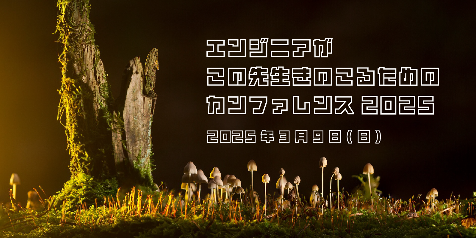 プロフィールコンテンツ