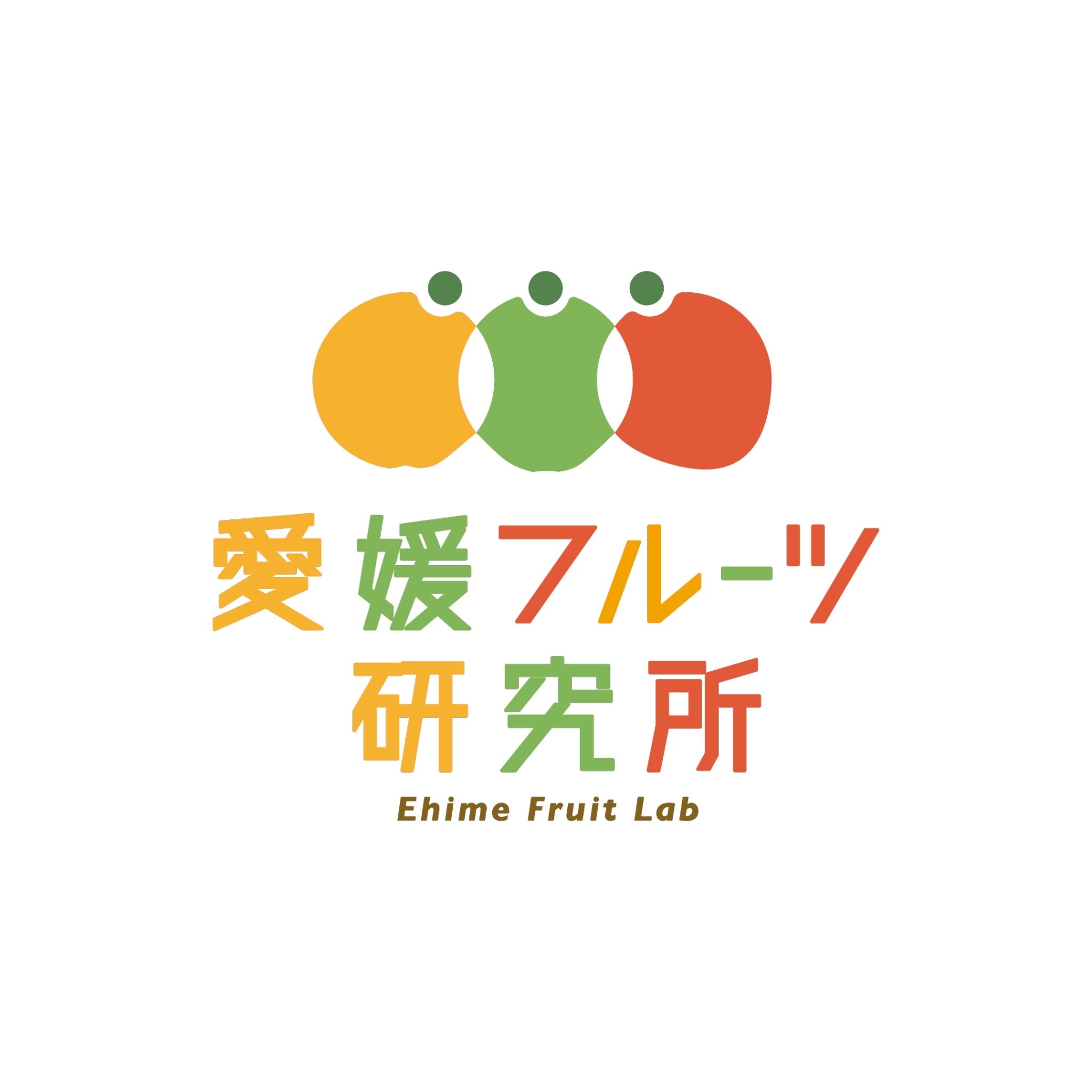 プロフィールコンテンツ