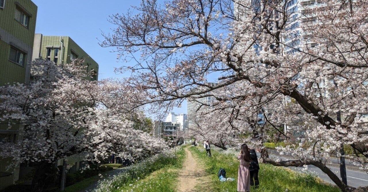 プロフィールコンテンツ